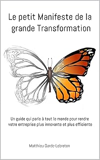 Le Petit Manifeste de la Grande Transformation: Un guide qui parle à tout le monde pour rendre votre entreprise plus innovante et plus efficiente
